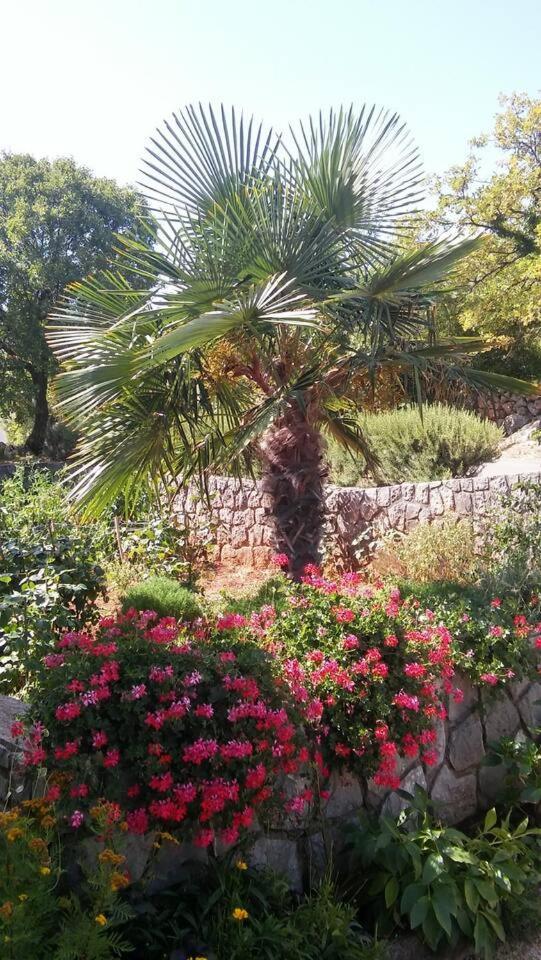 Studio Busilak Vrh  Dış mekan fotoğraf